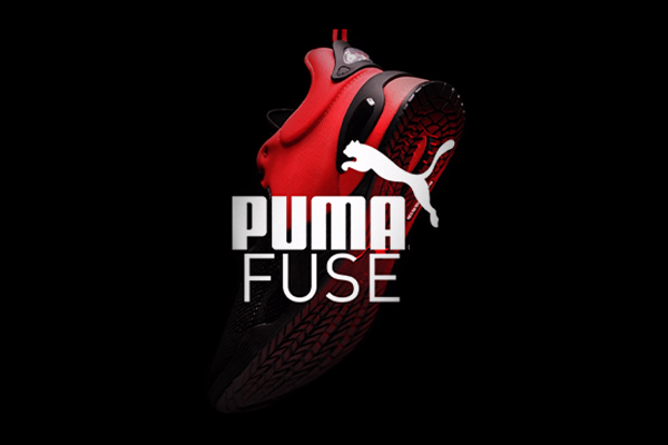 PumaFuse Website2
